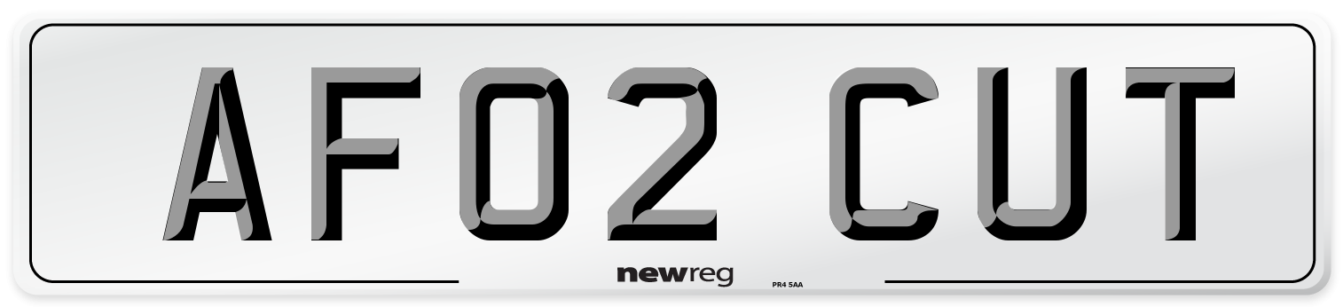 AF02 CUT Number Plate from New Reg